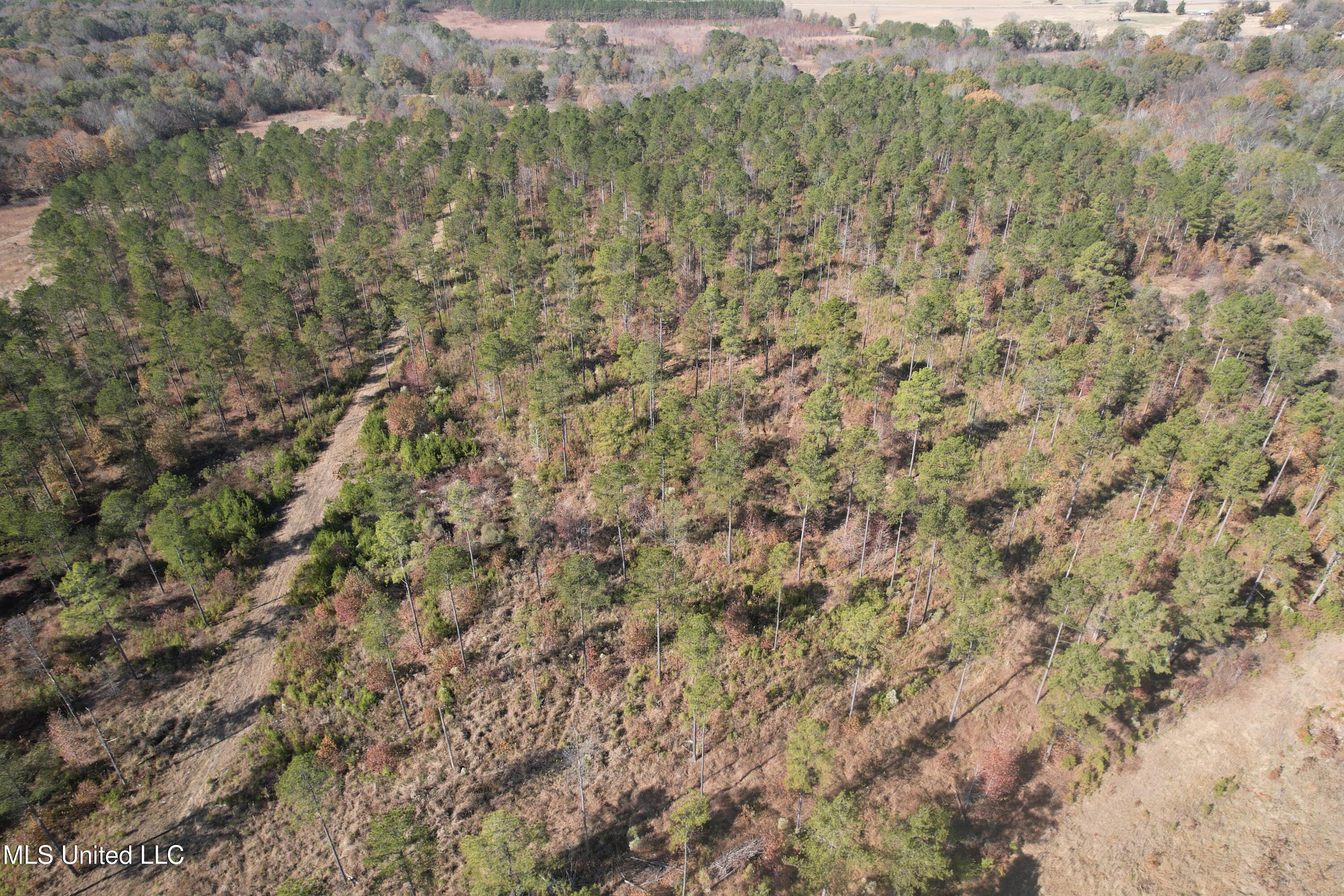 115 Off Creek Carrollton, MS 38917 - Photo 17 of 20 DJI_0138
