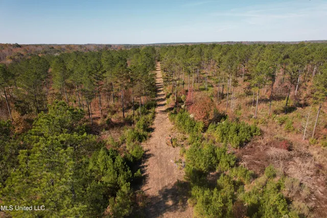 $200,000 | 115 Off Creek, Carrollton, MS 38917