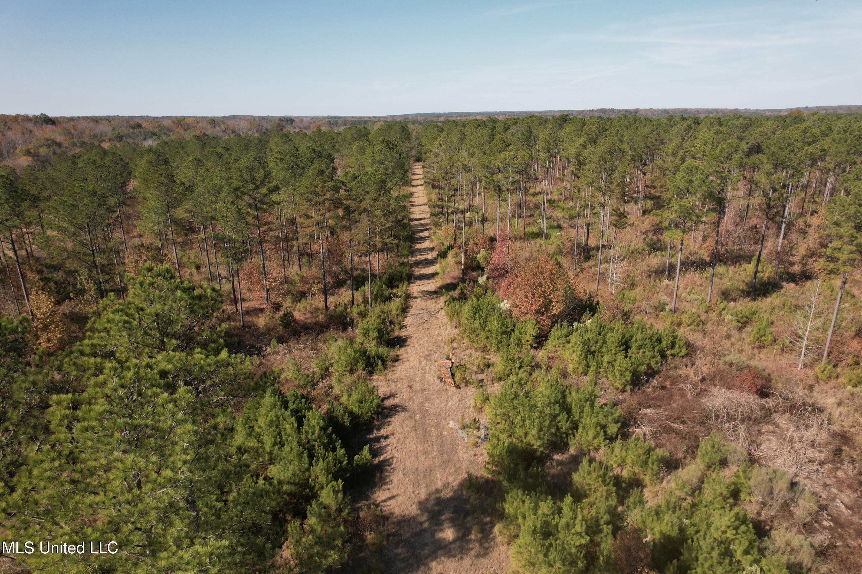 115 Off Creek Carrollton, MS 38917 - Photo 18 of 20 DJI_0139