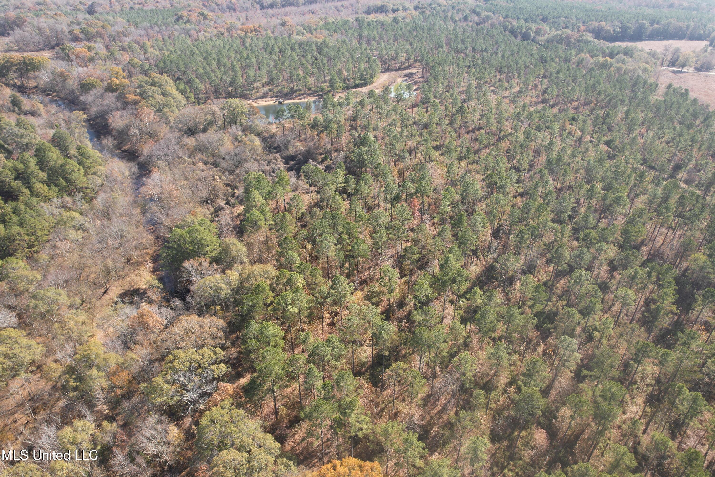 115 Off Creek Carrollton, MS 38917 - Photo 19 of 20 DJI_0140