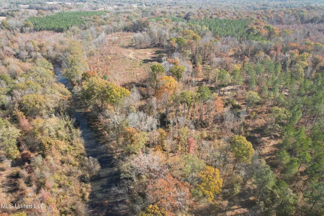 $200,000 | 115 Off Creek, Carrollton, MS 38917