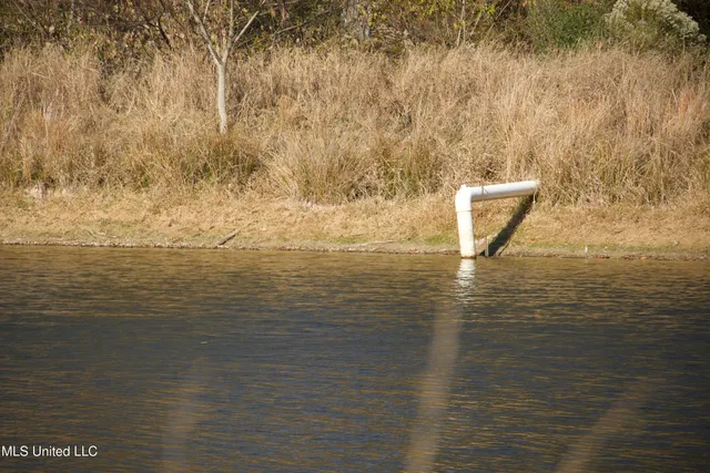 $200,000 | 115 Off Creek, Carrollton, MS 38917