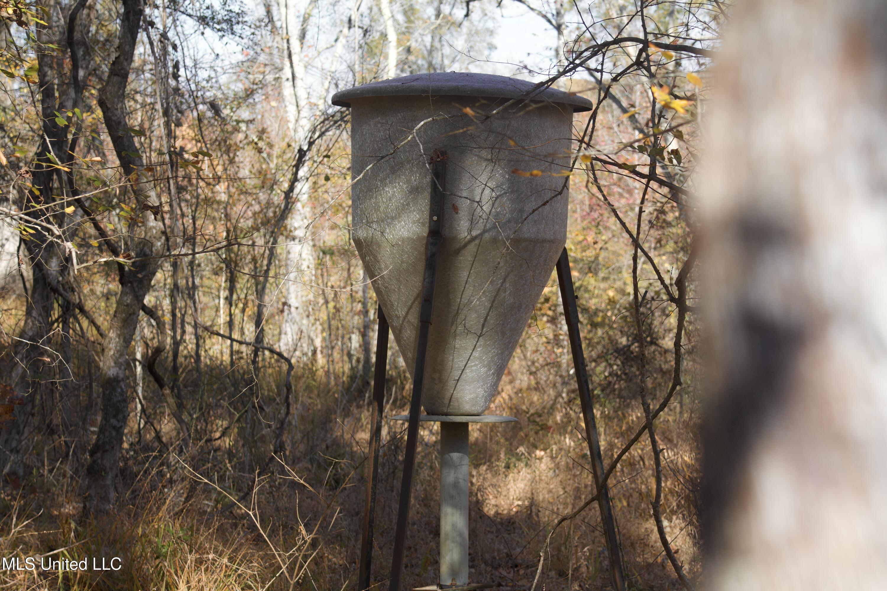 115 Off Creek Carrollton, MS 38917 - Photo 3 of 20 IMG_0639