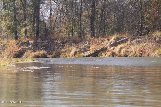 $200,000 | 115 Off Creek, Carrollton, MS 38917