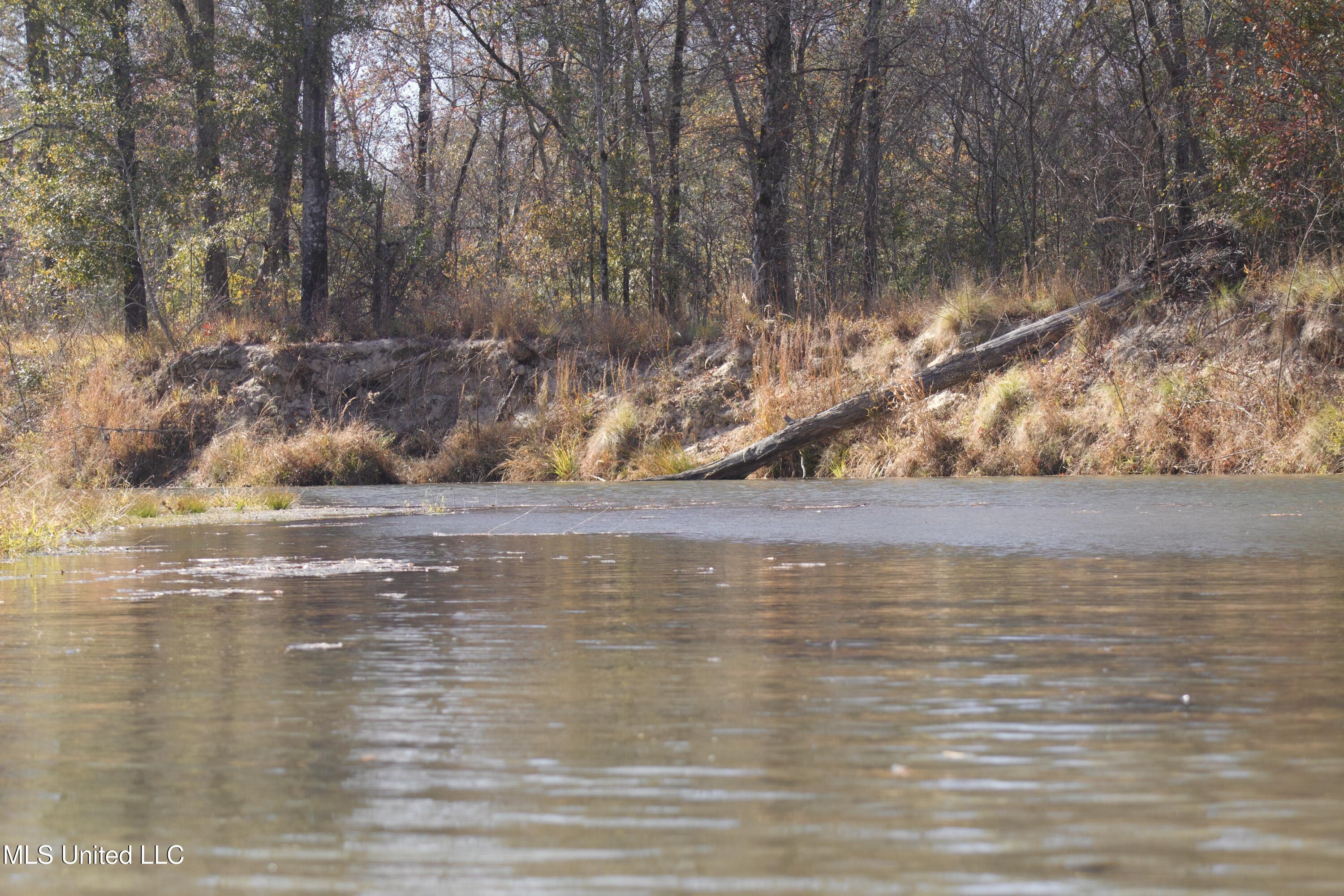 115 Off Creek Carrollton, MS 38917 - Photo 6 of 20 IMG_0656