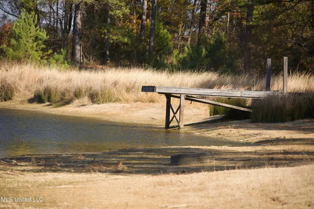 $200,000 | 115 Off Creek, Carrollton, MS 38917