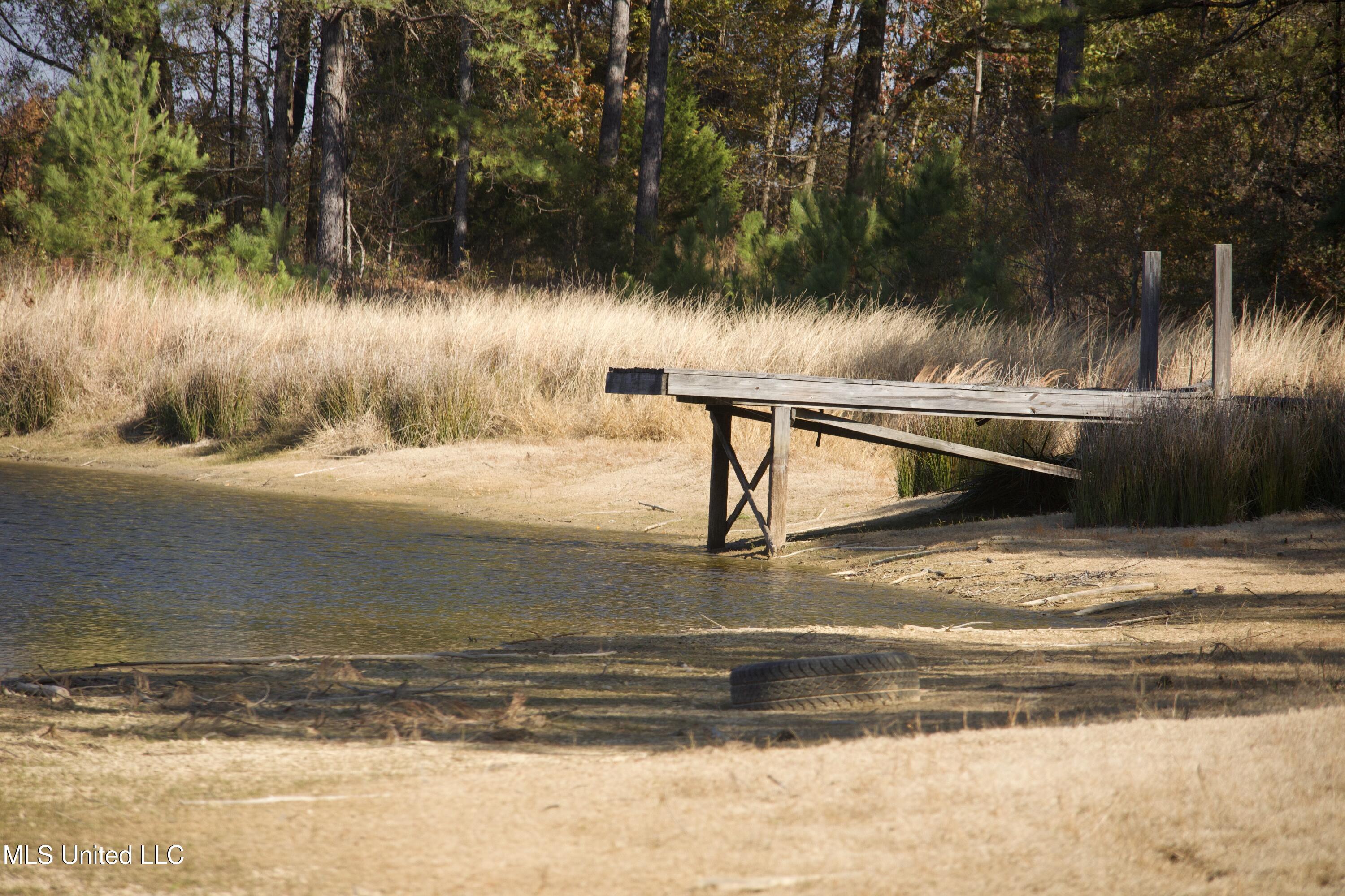 115 Off Creek Carrollton, MS 38917 - Photo 7 of 20 IMG_0629