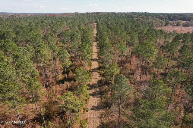 $200,000 | 115 Off Creek, Carrollton, MS 38917