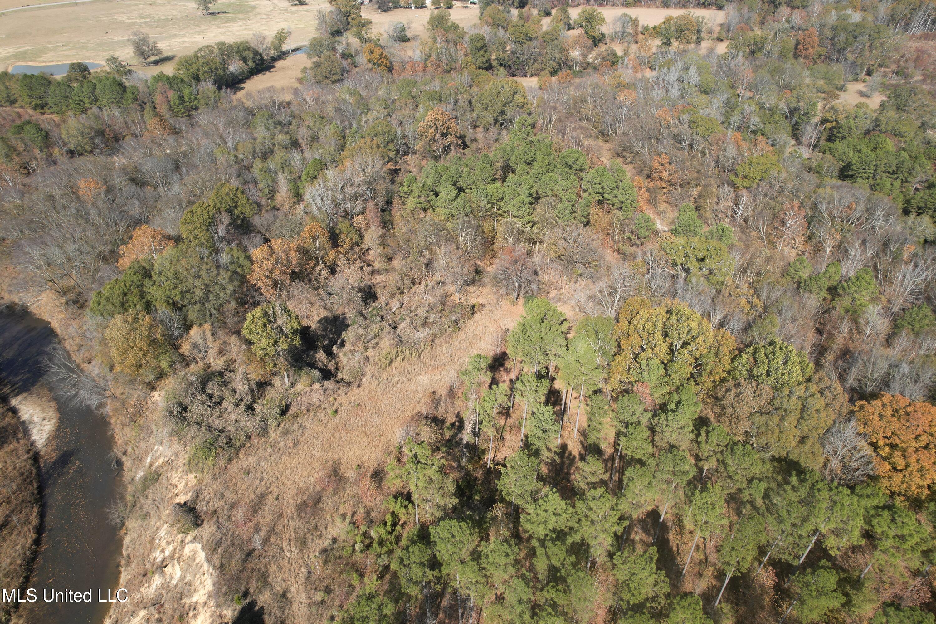 115 Off Creek Carrollton, MS 38917 - Photo 10 of 20 DJI_0149