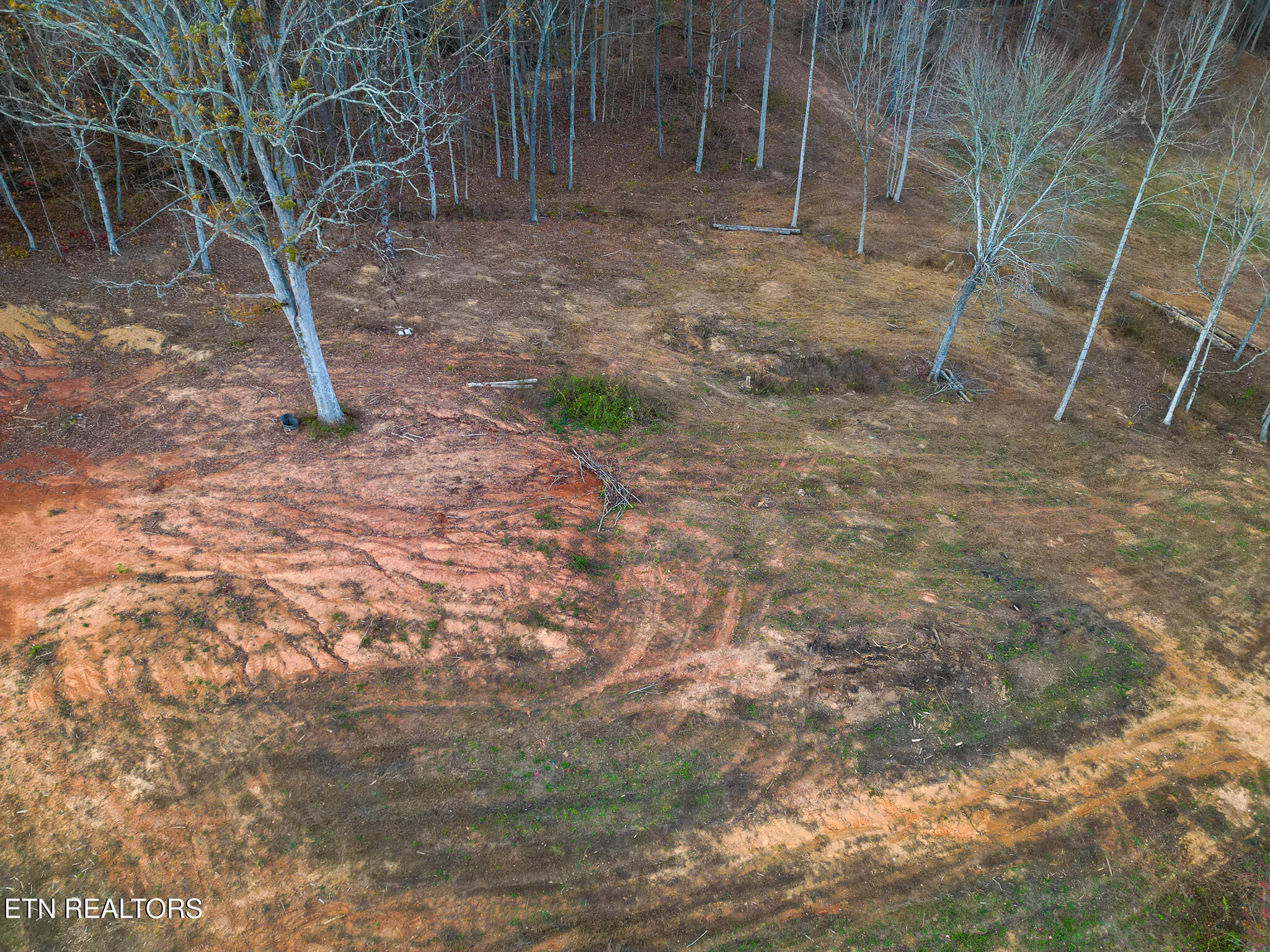 170 Dogtown Road Ten Mile, TN 37880 - Photo 14 of 18 170 Dogtown Road-09