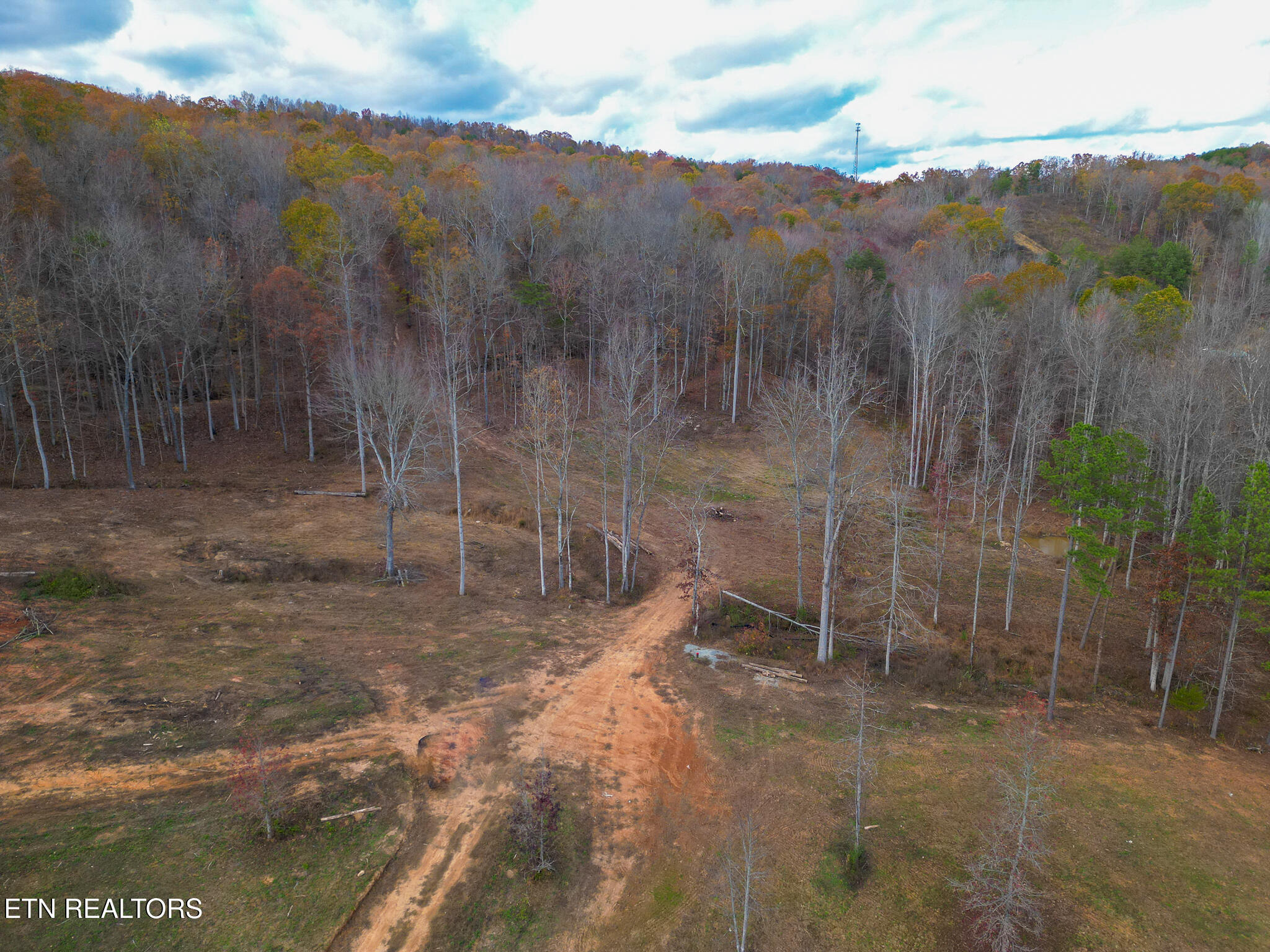 170 Dogtown Road Ten Mile, TN 37880 - Photo 16 of 18 170 Dogtown Road-11