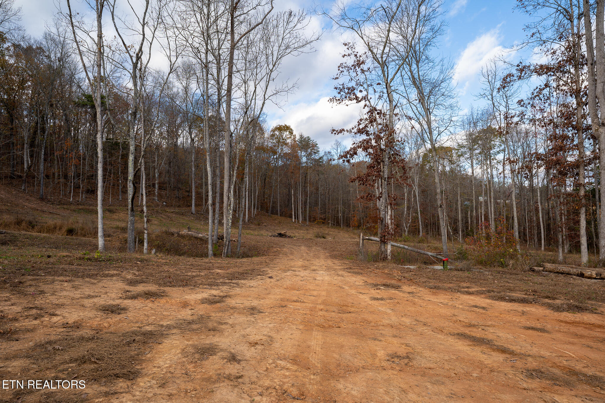 170 Dogtown Road Ten Mile, TN 37880 - Photo 2 of 18 170 Dogtown Road-03