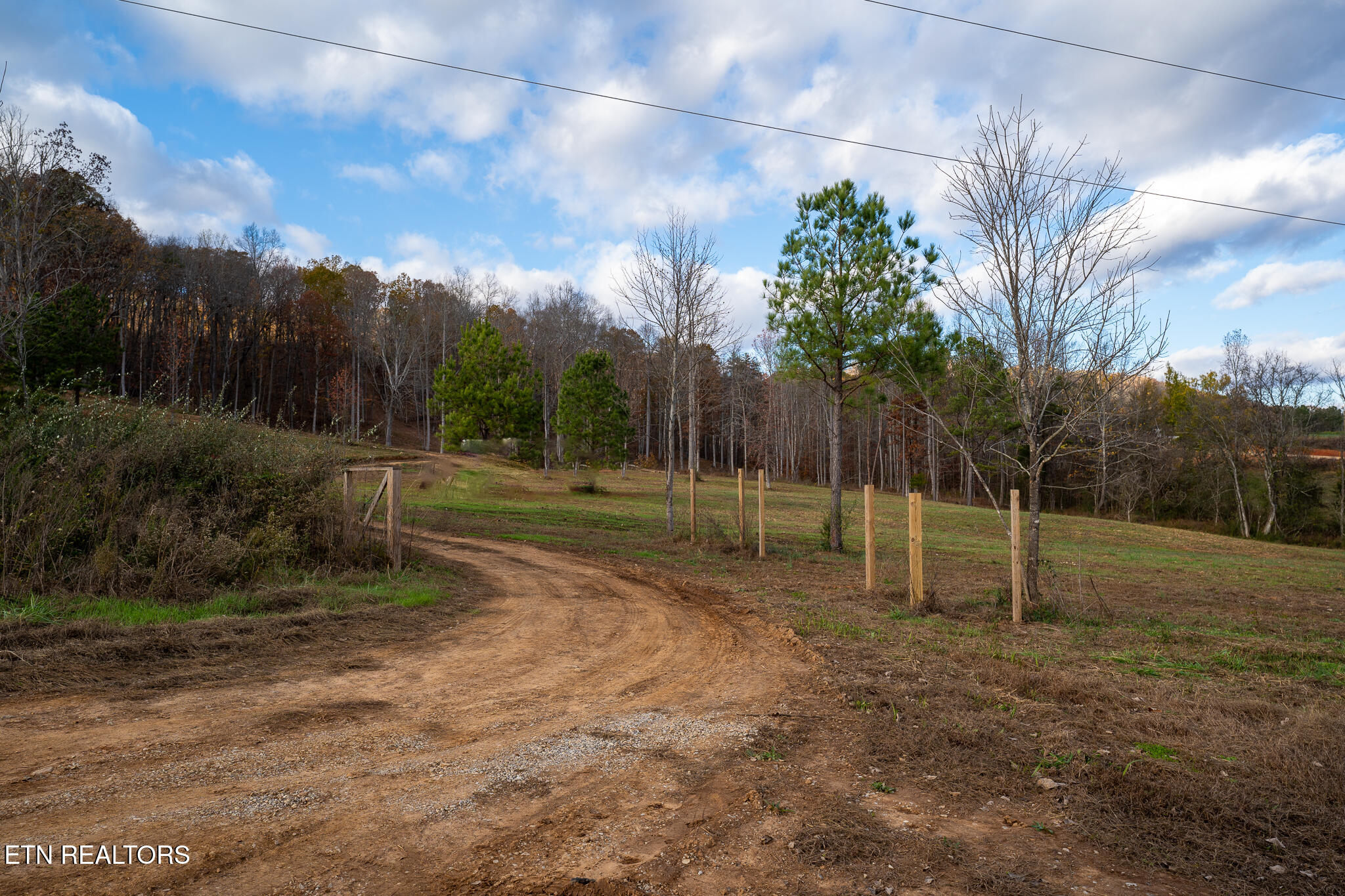 170 Dogtown Road Ten Mile, TN 37880 - Photo 5 of 18 170 Dogtown Road-02