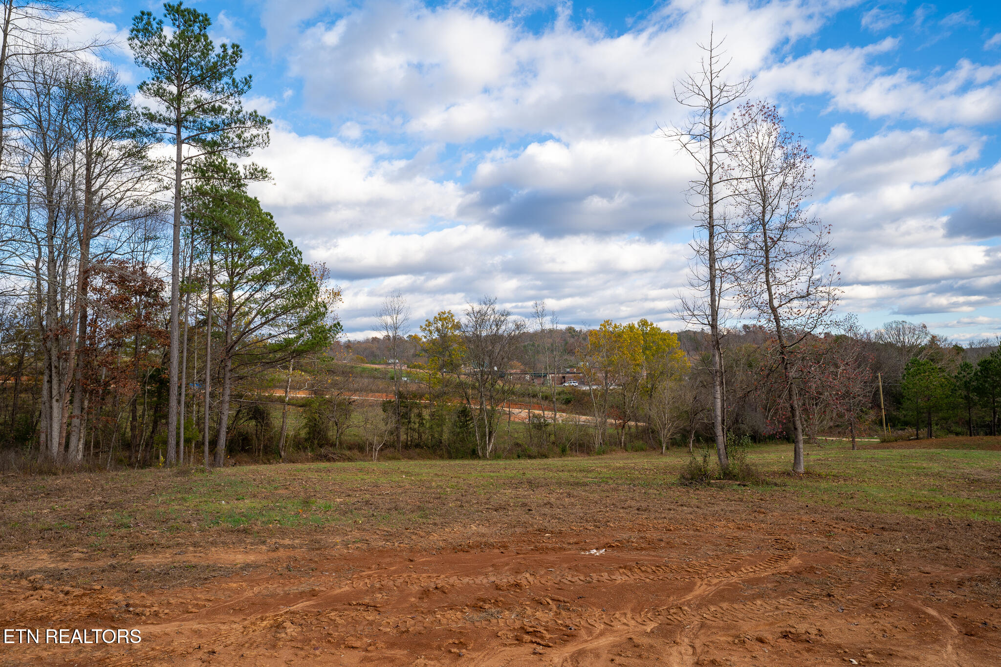 170 Dogtown Road Ten Mile, TN 37880 - Photo 6 of 18 170 Dogtown Road-04