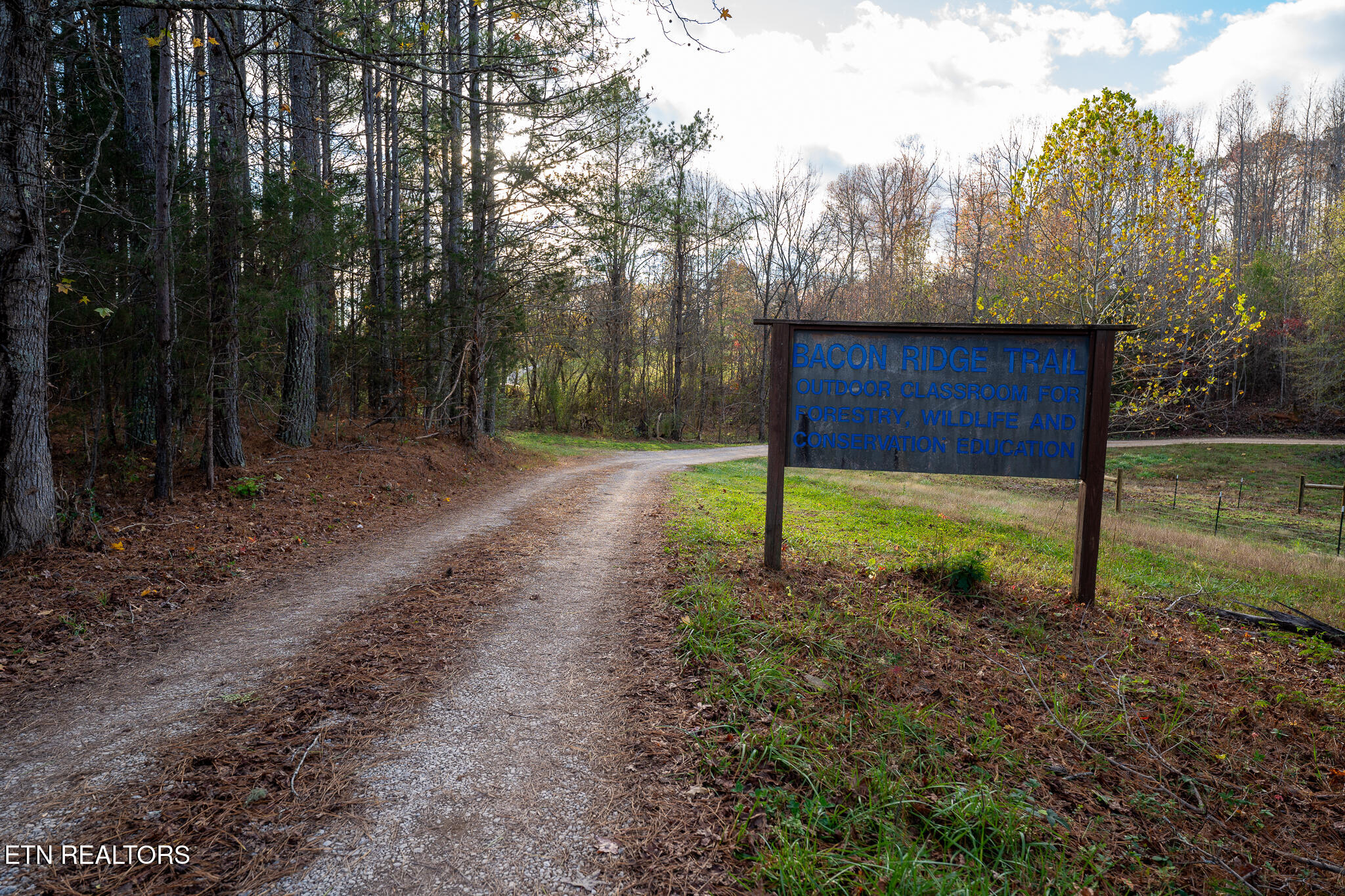 170 Dogtown Road Ten Mile, TN 37880 - Photo 7 of 18 170 Dogtown Road-01