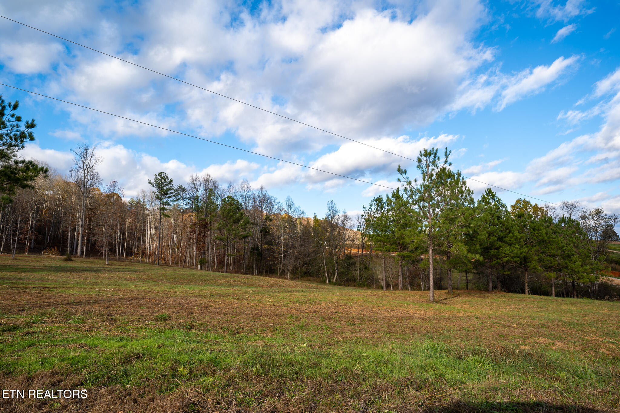 170 Dogtown Road Ten Mile, TN 37880 - Photo 8 of 18 170 Dogtown Road-06