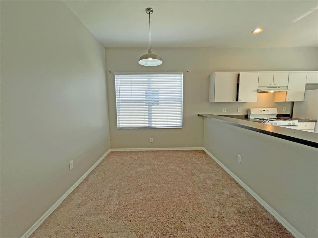 24925 Vintage Court Lutz, FL 33559 - Photo 11 of 38 a view of kitchen and window
