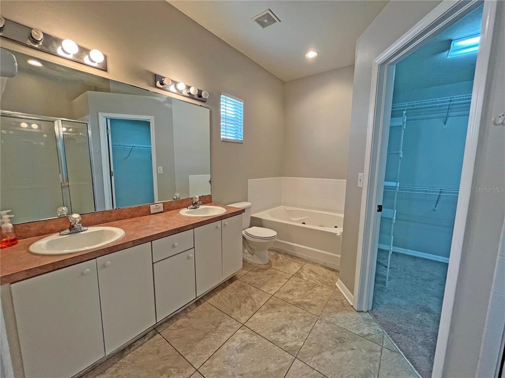 24925 Vintage Court Lutz, FL 33559 - Photo 31 of 38 a spacious bathroom with a bathtub sink and toilet
