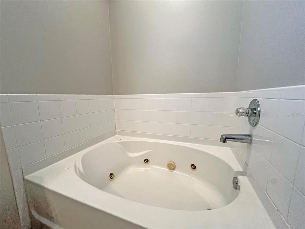 24925 Vintage Court Lutz, FL 33559 - Photo 33 of 38 a white bath tub sitting in a bathroom