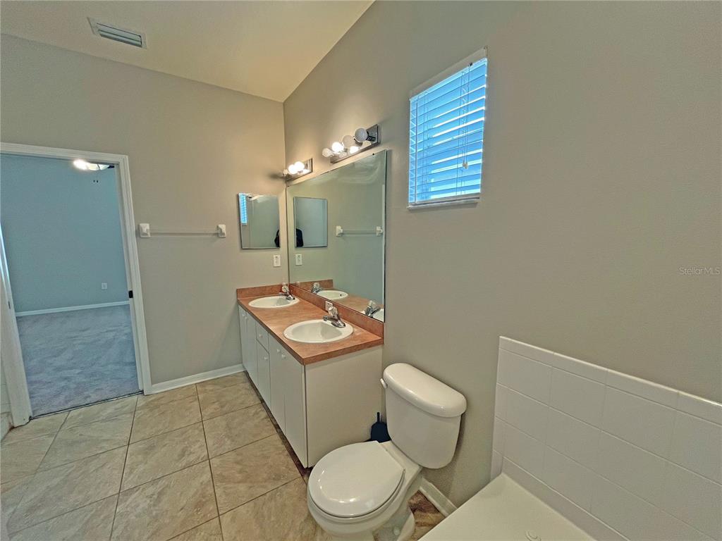 24925 Vintage Court Lutz, FL 33559 - Photo 35 of 38 a bathroom with a toilet sink and mirror