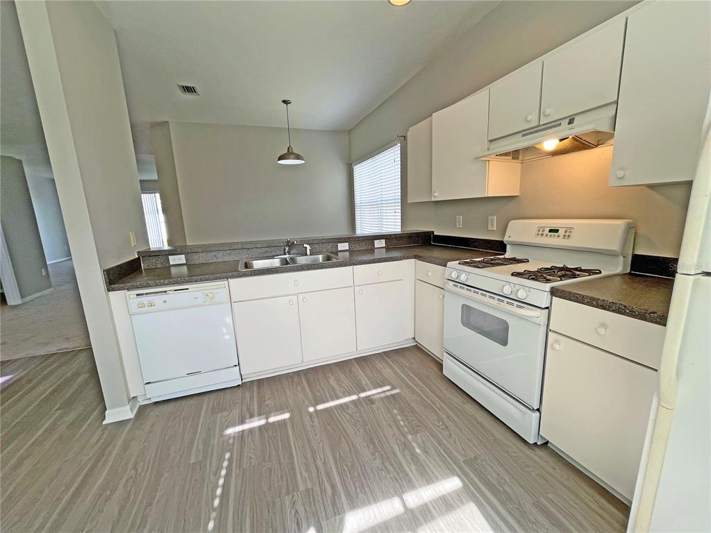 24925 Vintage Court Lutz, FL 33559 - Photo 5 of 38 a kitchen with granite countertop a sink and a stove top oven