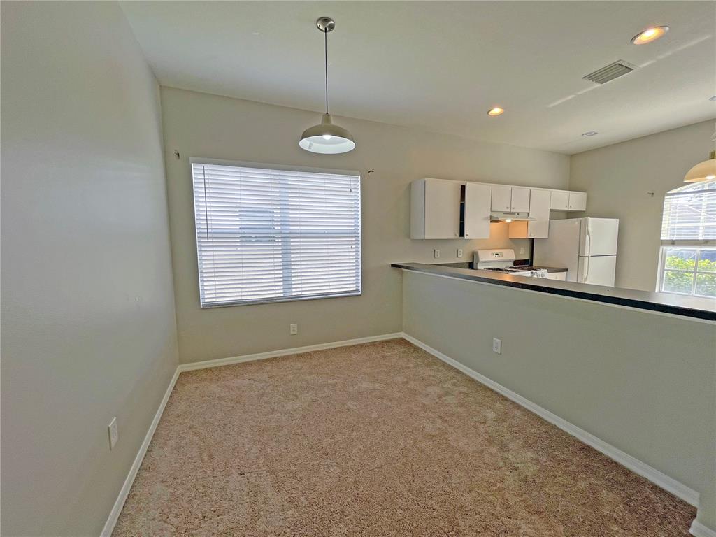 24925 Vintage Court Lutz, FL 33559 - Photo 9 of 38 a view of kitchen and windows