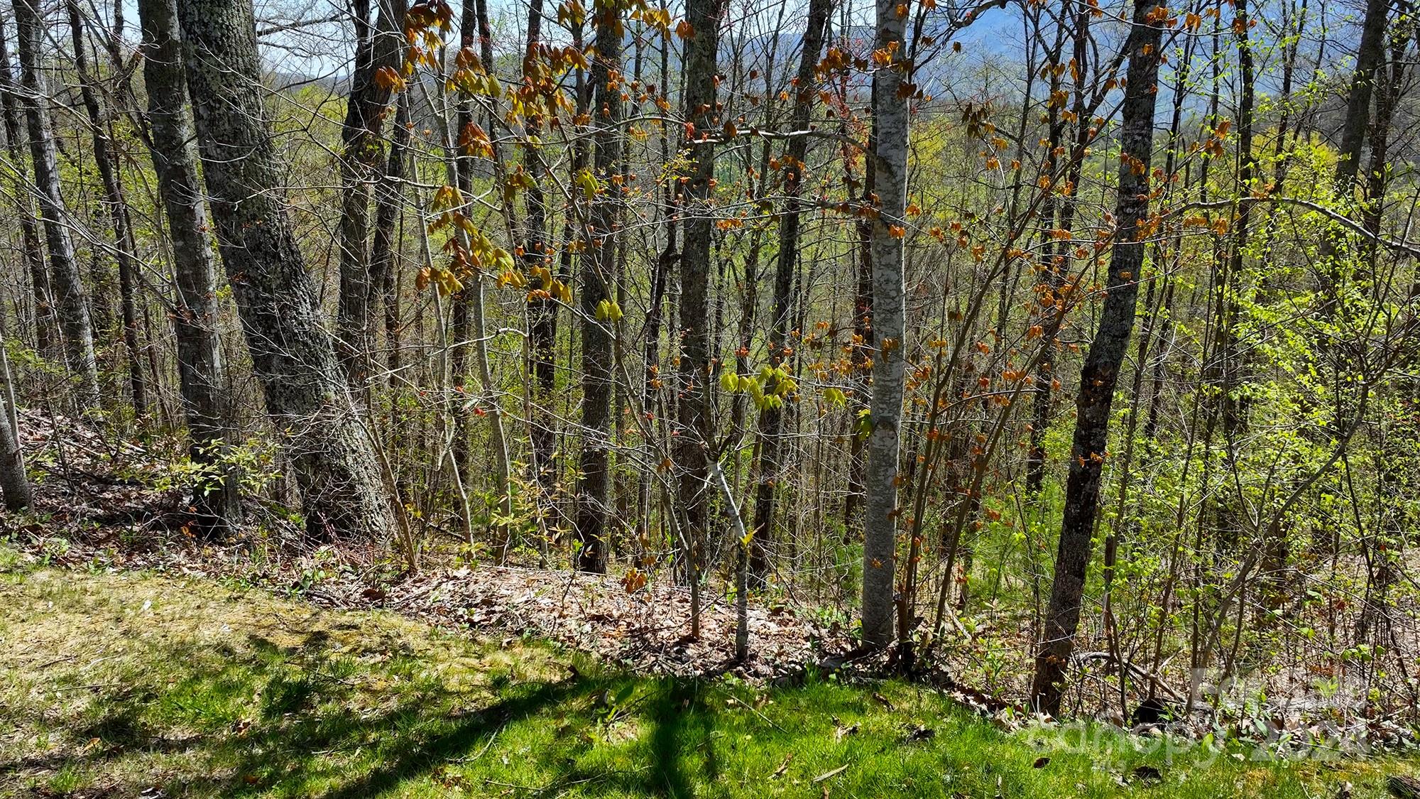 Lot 33 Heritage Ridge Road Burnsville, NC 28714 - Photo 16 of 36 Gallery Image 16