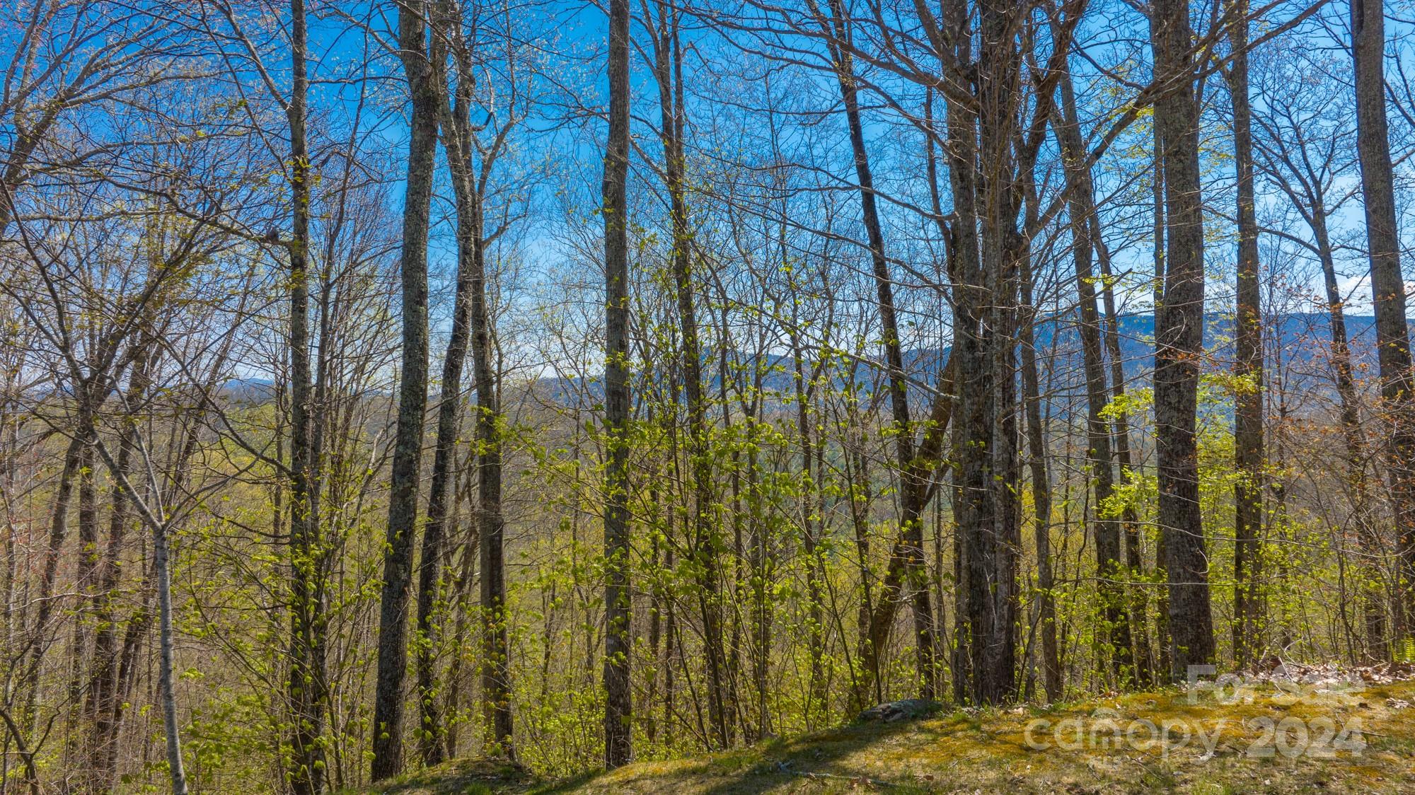 Lot 33 Heritage Ridge Road Burnsville, NC 28714 - Photo 8 of 36 Gallery Image 8