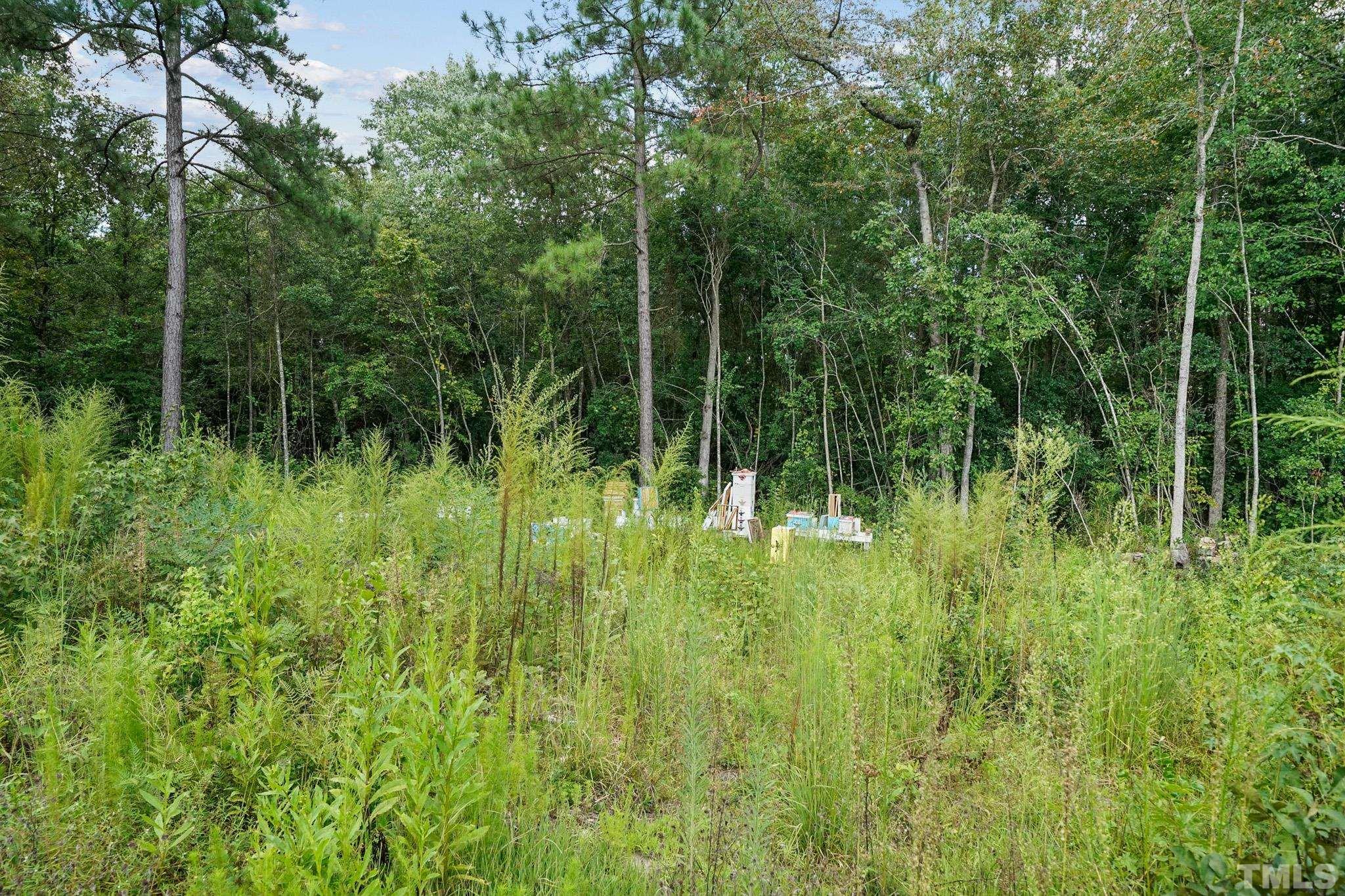 856 Juno Drive Broadway, NC 27505 - Photo 9 of 46 a view of backyard with green space