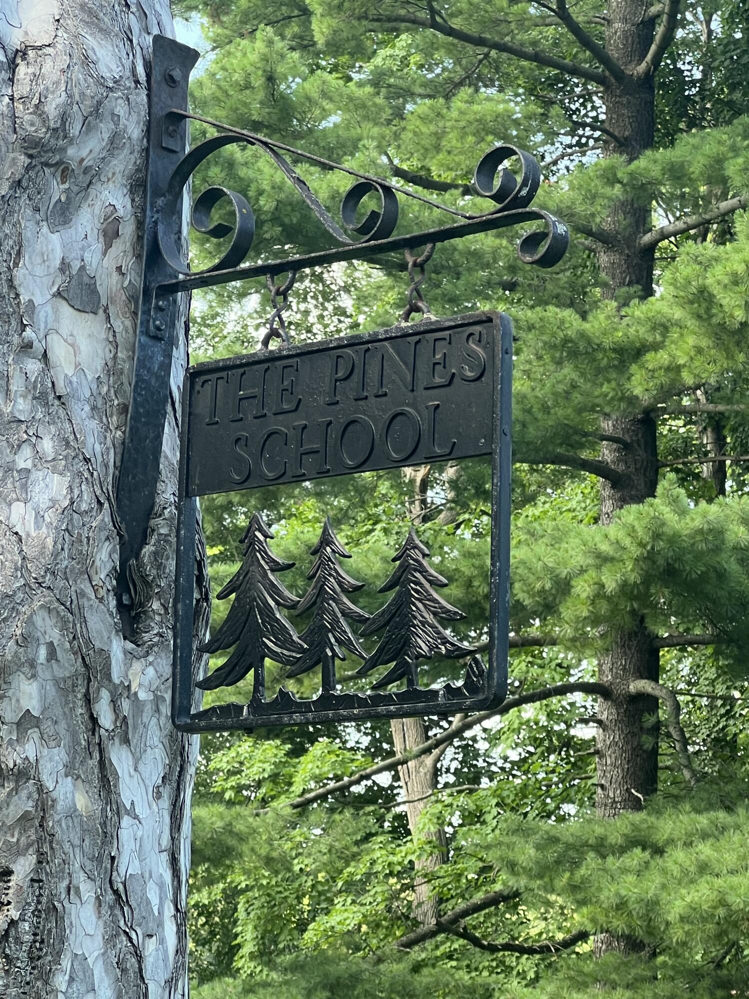 965 Racine Street Delavan, WI 53115 - Photo 5 of 47 Historic School Sign