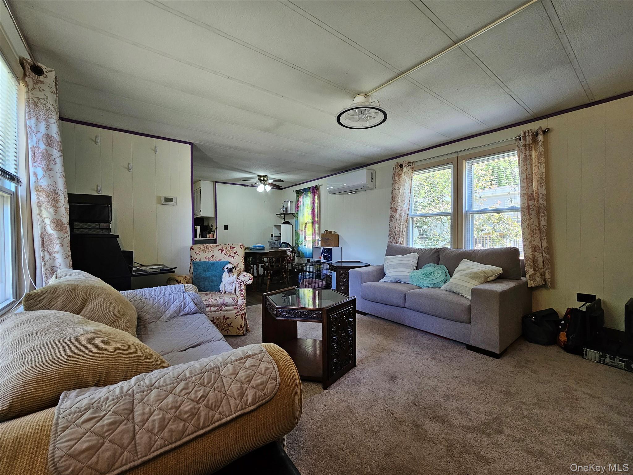 57 Sheafe Road Wappingers Falls, NY 12601 - Photo 4 of 20 Spacious living area featuring carpet flooring, dual windows, and an overhead lighting fixture
