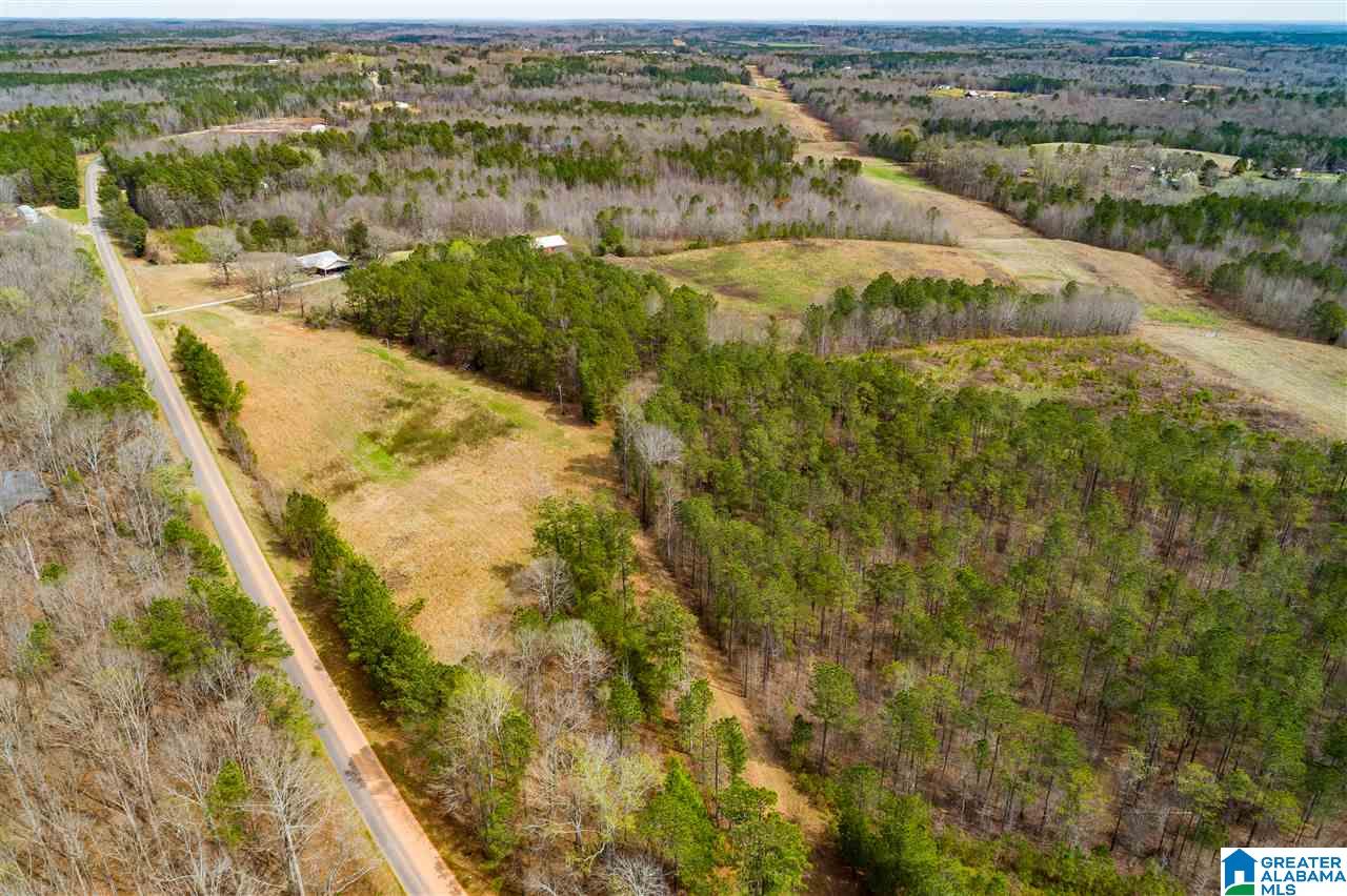 4199 Cowpens Road Alexander City, AL 35010 - Photo 39 of 50