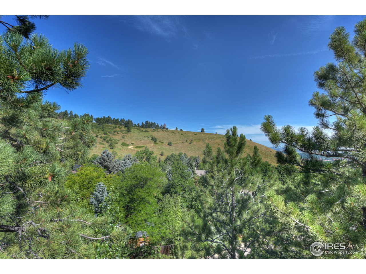 390 Hollyberry Lane Boulder, CO 80305 - Photo 9 of 18