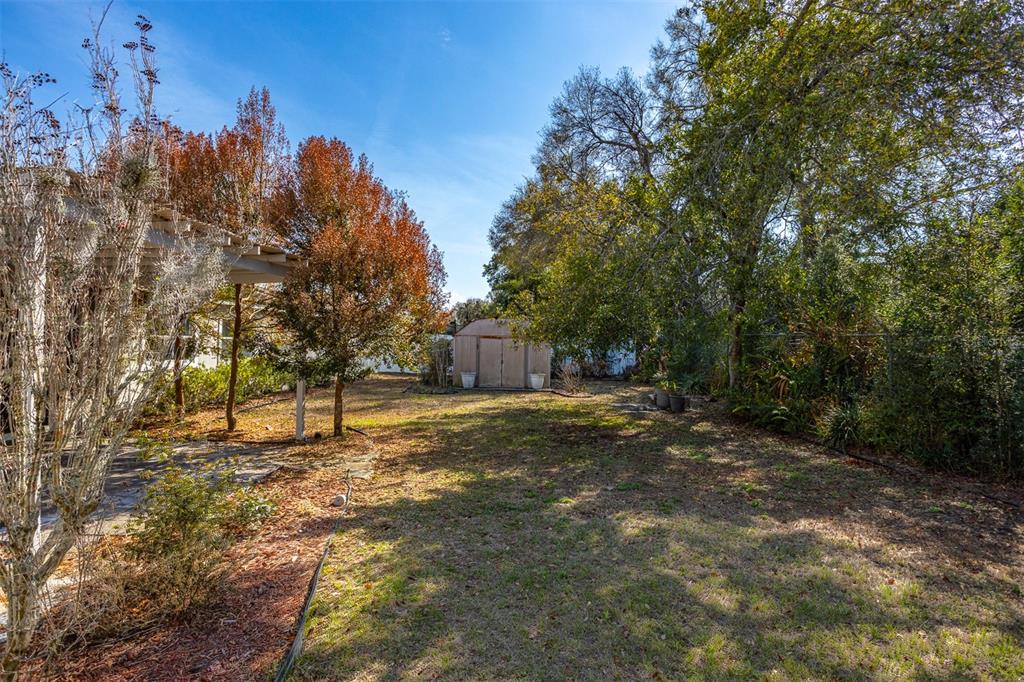 806 Chadsworth Avenue Seffner, FL 33584 - Photo 36 of 38