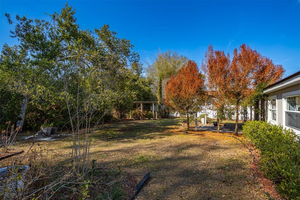 806 Chadsworth Avenue Seffner, FL 33584 - Photo 38 of 38