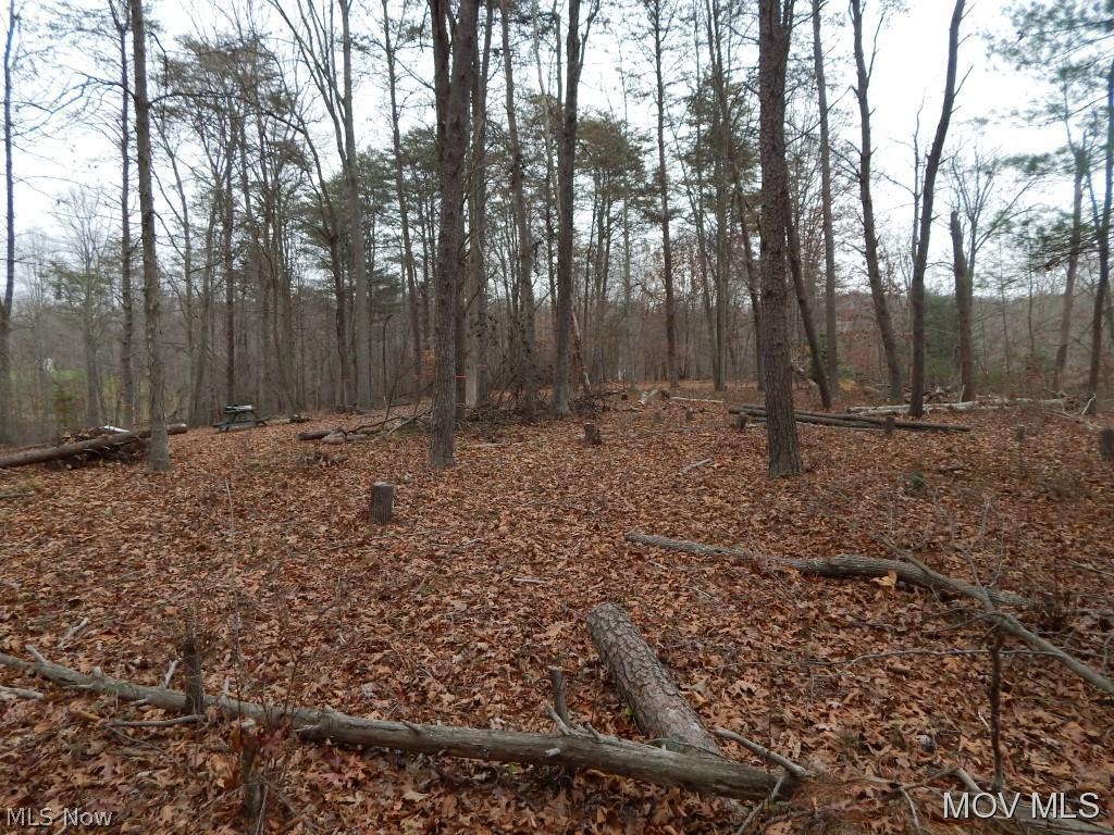 0 State Park Road Harrisville, WV 26362 - Photo 5 of 11