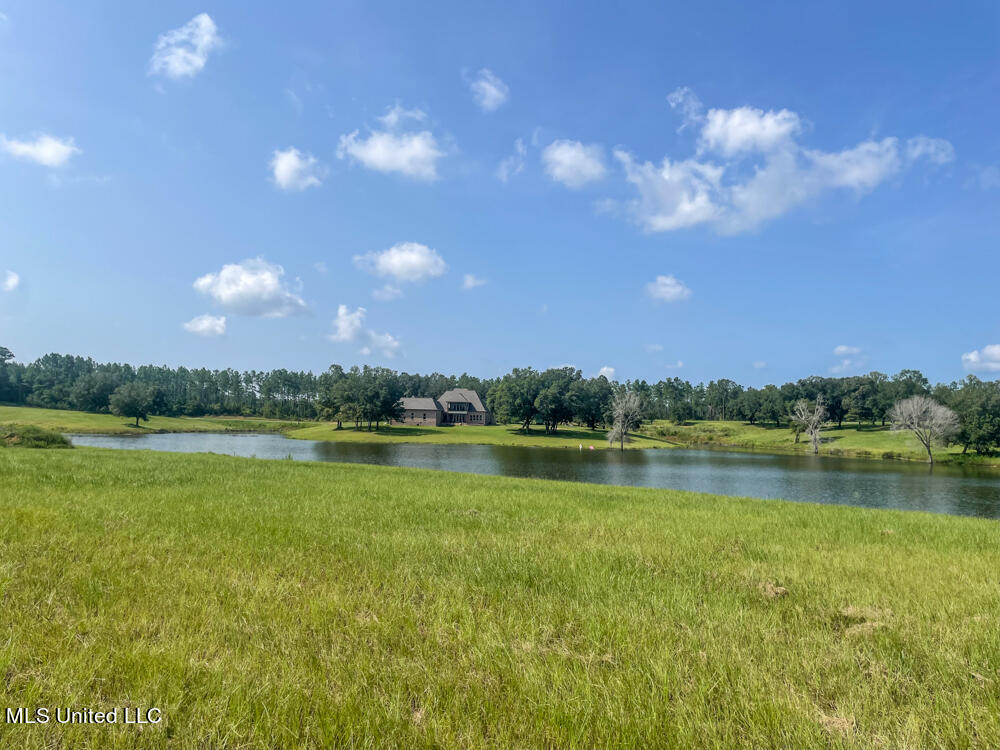 Lot 11 Conner Stringer Drive Lucedale, MS 39452 - Photo 54 of 54 IMG_2326