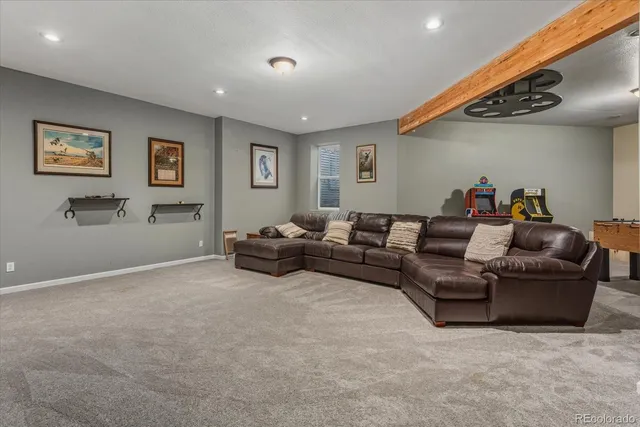 a picture of a park with furniture and window