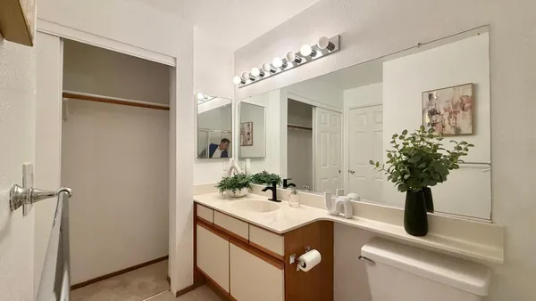 a bathroom with a sink vanity and a mirror