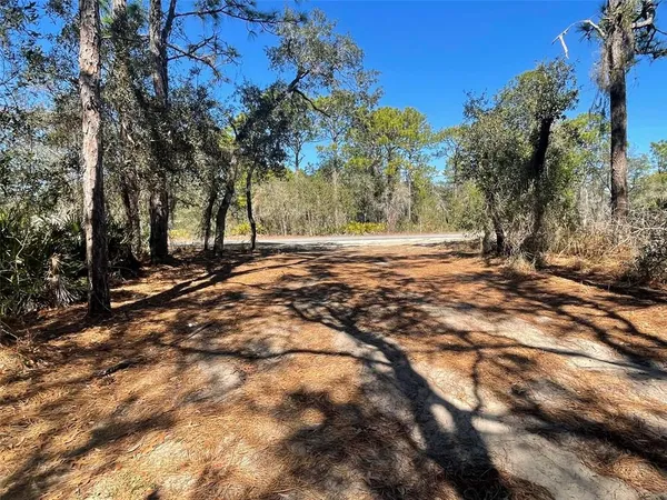 a view of a yard with a tree