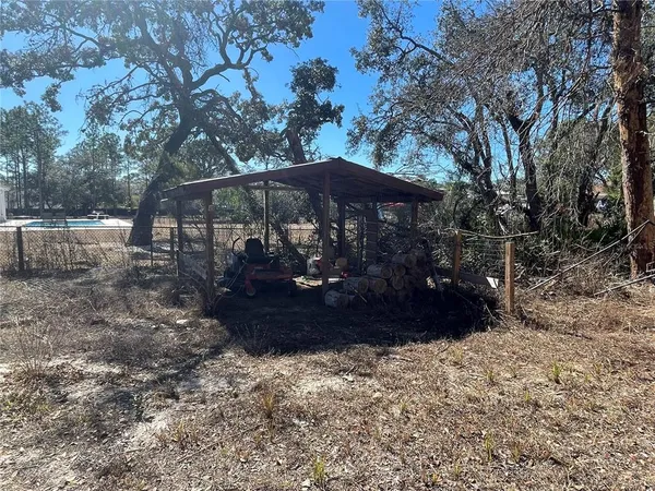 a view of a backyard with large trees