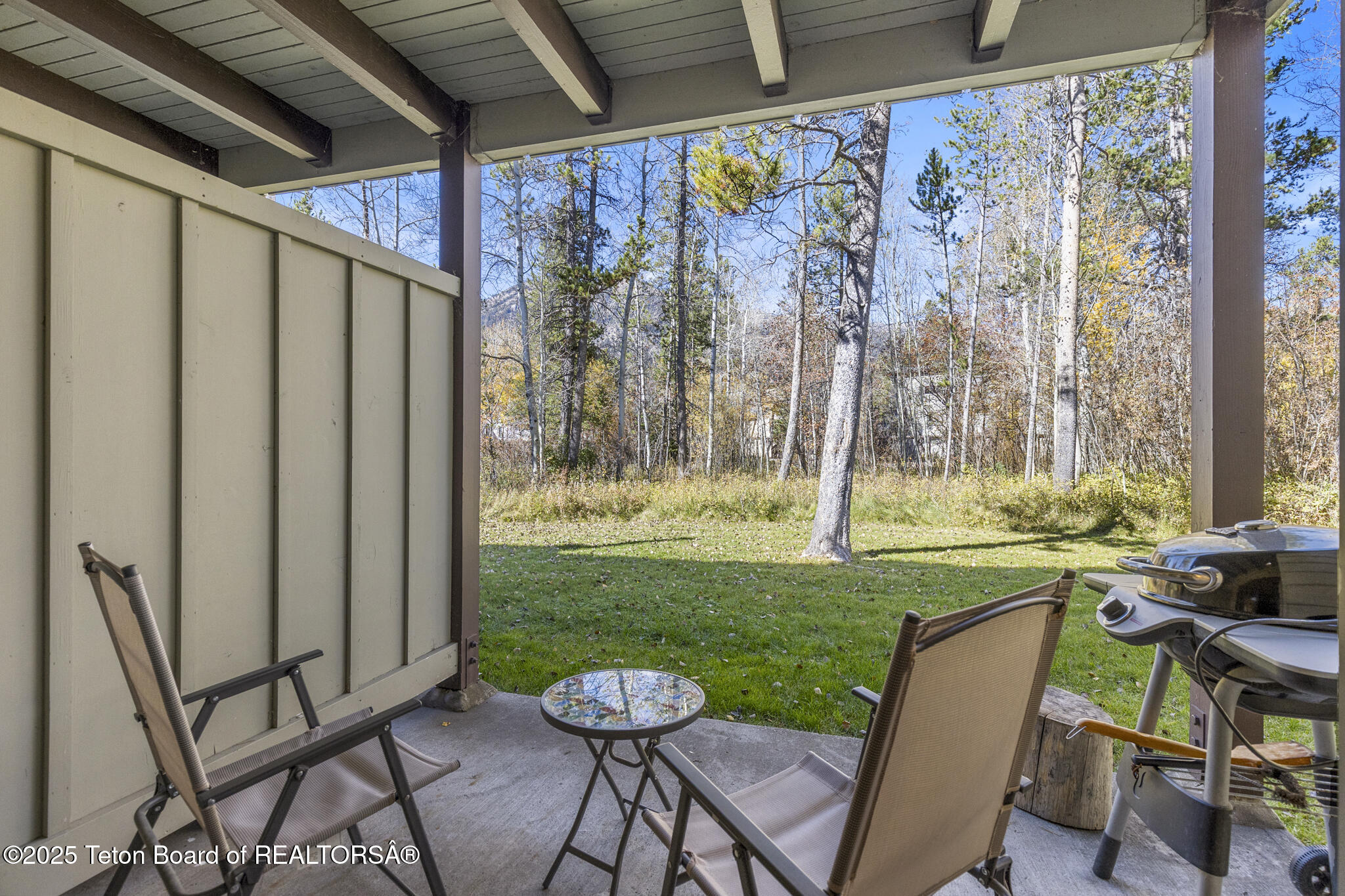 4450 Berry Drive, Unit 3913 Wilson, WY 83014 - Photo 19 of 38 6V2A7170