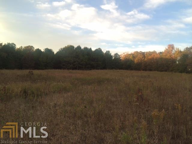 1160 Happy Hollow Road Roopville, GA 30170 - Photo 1 of 1