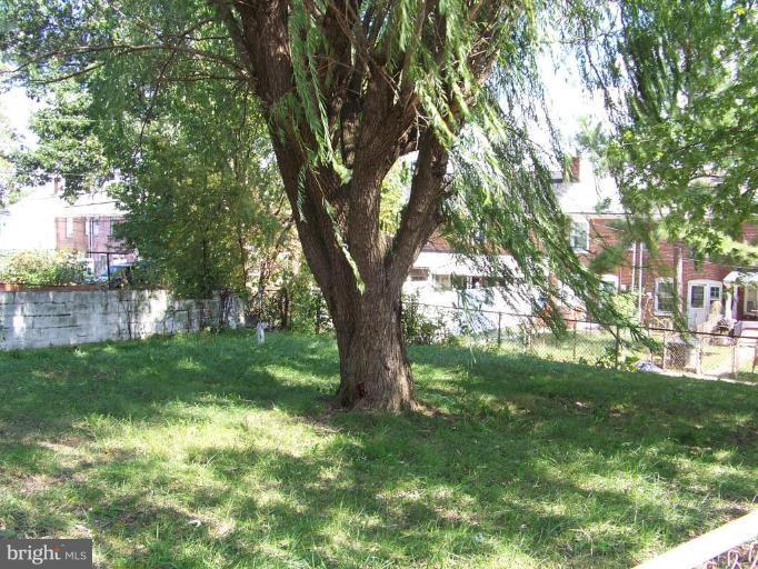 467 Roundview Road Baltimore, MD 21225 - Photo 2 of 2 Back yard