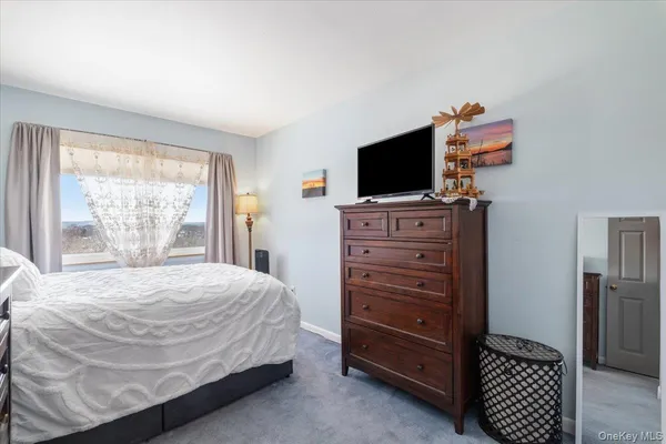 a bedroom with a bed and a television