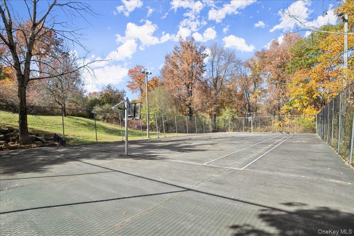 1707 Eagles Ridge Road Brewster, NY 10509 - Photo 50 of 50 a view of a yard with basketball court