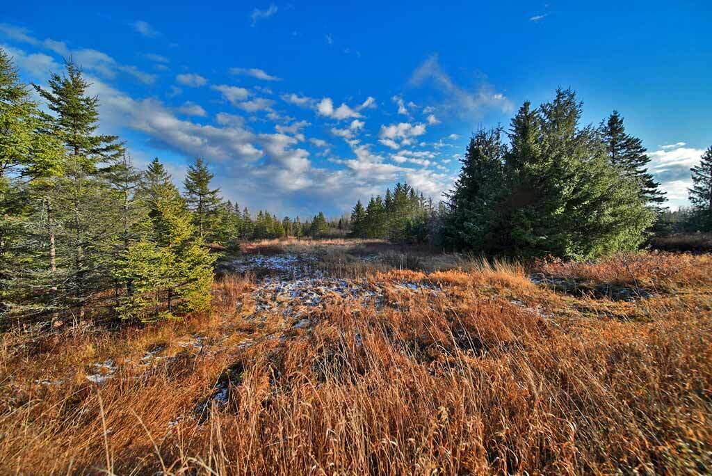 Lot 7 Bangor Road Linneus, ME 04730 - Photo 2 of 24 land-in-me