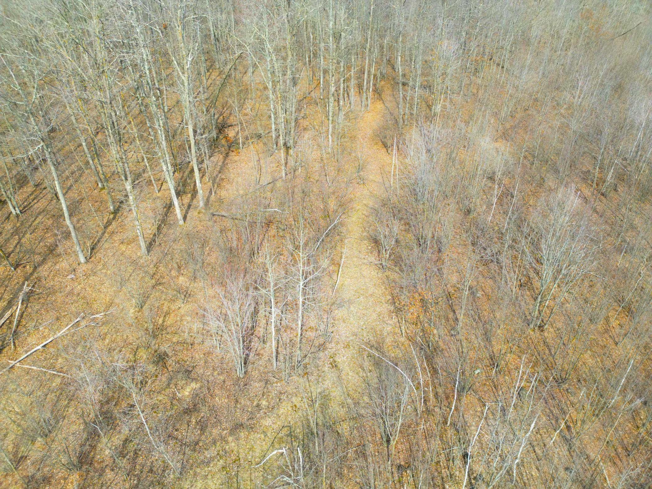 3298 Harbor Street Isle, MN 56342 - Photo 48 of 76