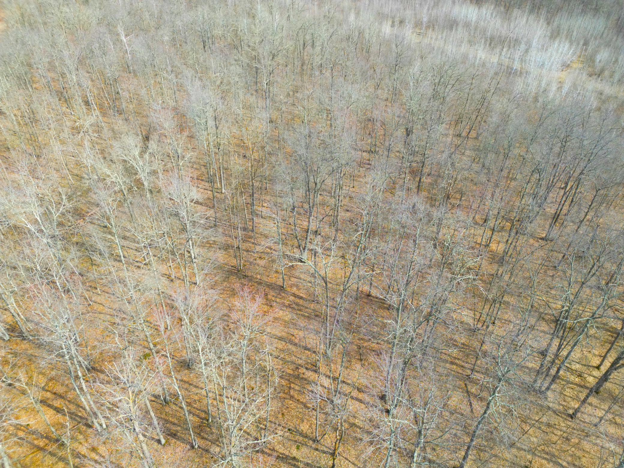 3298 Harbor Street Isle, MN 56342 - Photo 52 of 76