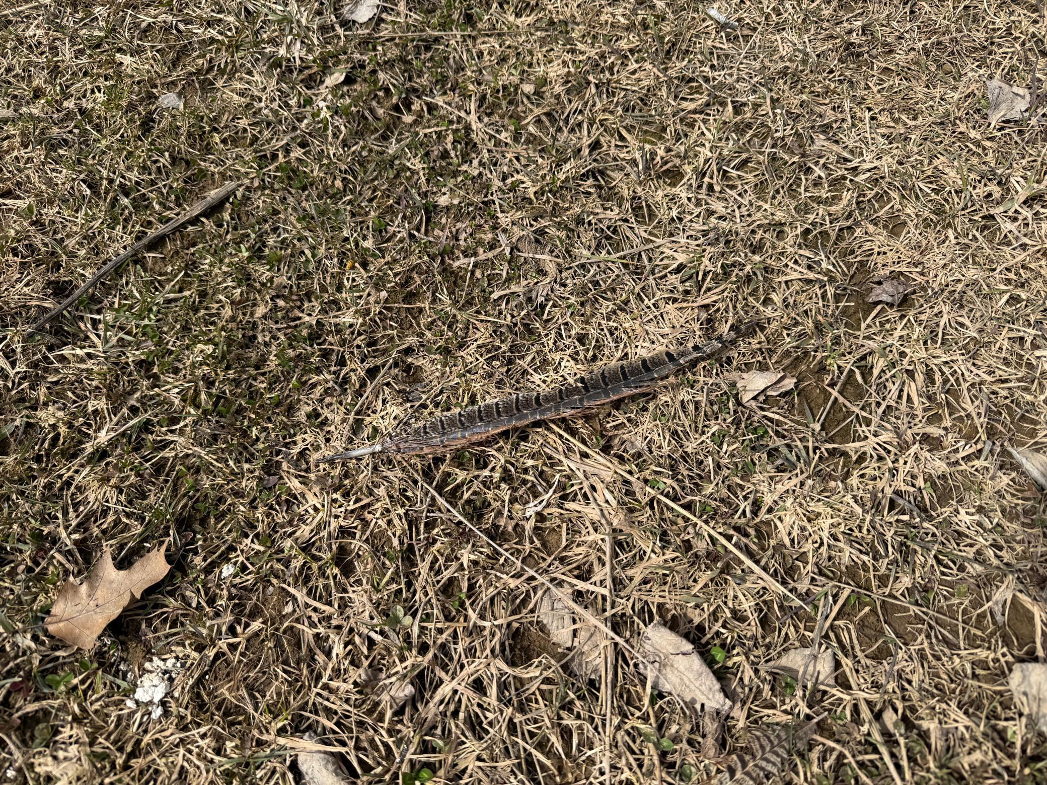 3298 Harbor Street Isle, MN 56342 - Photo 67 of 76